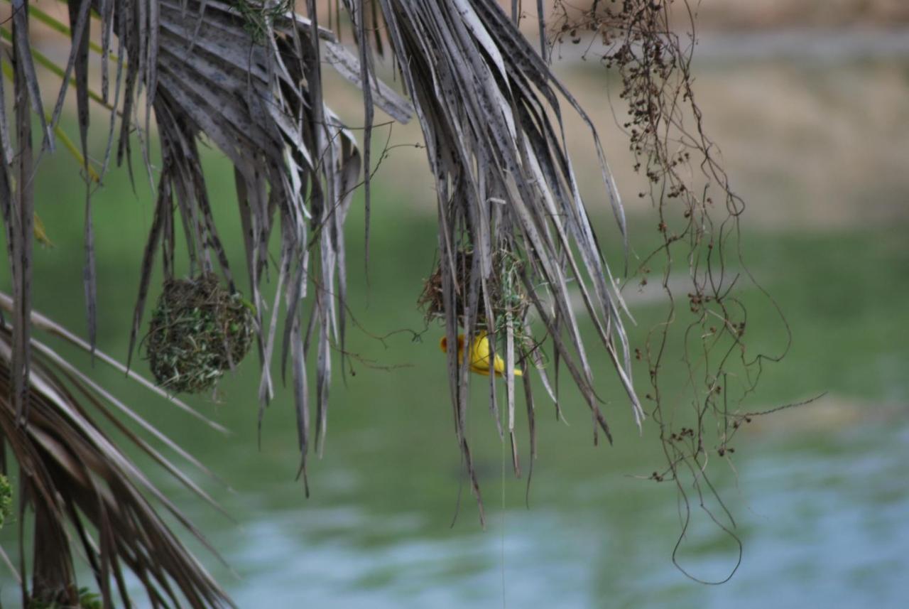 Lemara Eco Camp Hotel Kisaki ภายนอก รูปภาพ