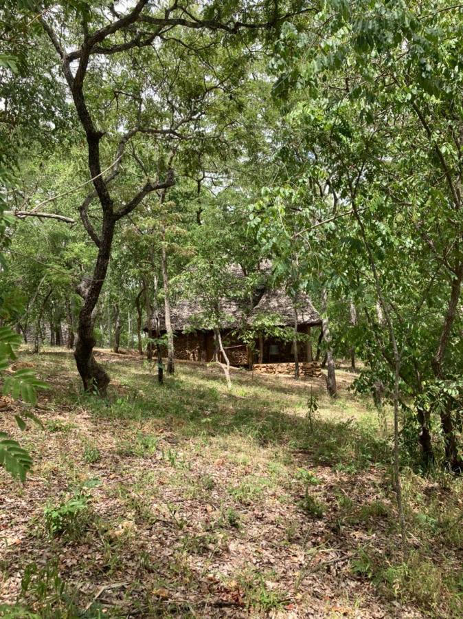 Lemara Eco Camp Hotel Kisaki ภายนอก รูปภาพ